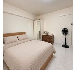 Blk 222 Tampines Street 24 (Tampines), HDB 4 Rooms #631385041
